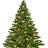 Christmas_Christmas_tree_Balls_White_background_597609_3600x3983.jpg
