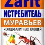 17277